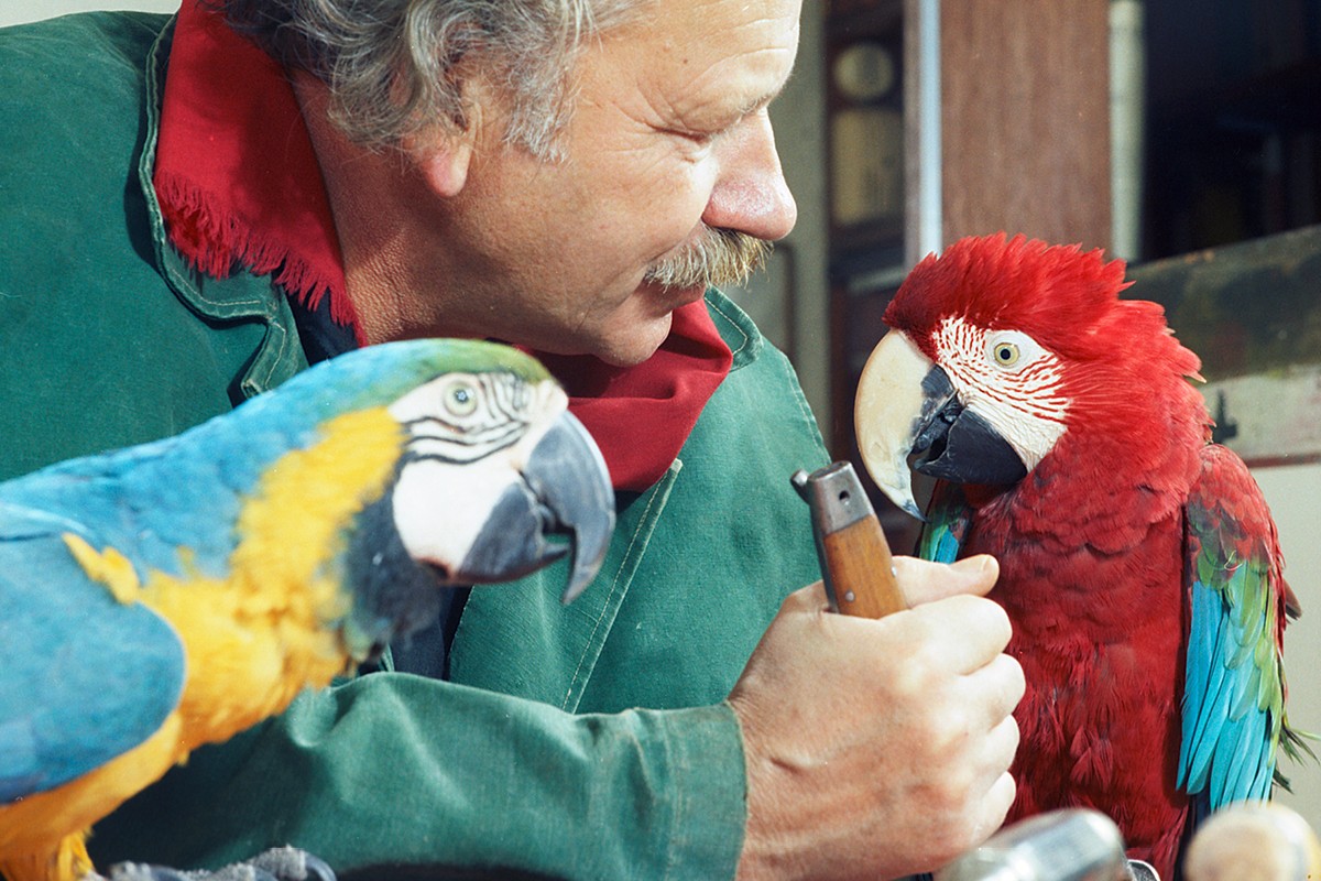 Filmabend HAP Grieshaber