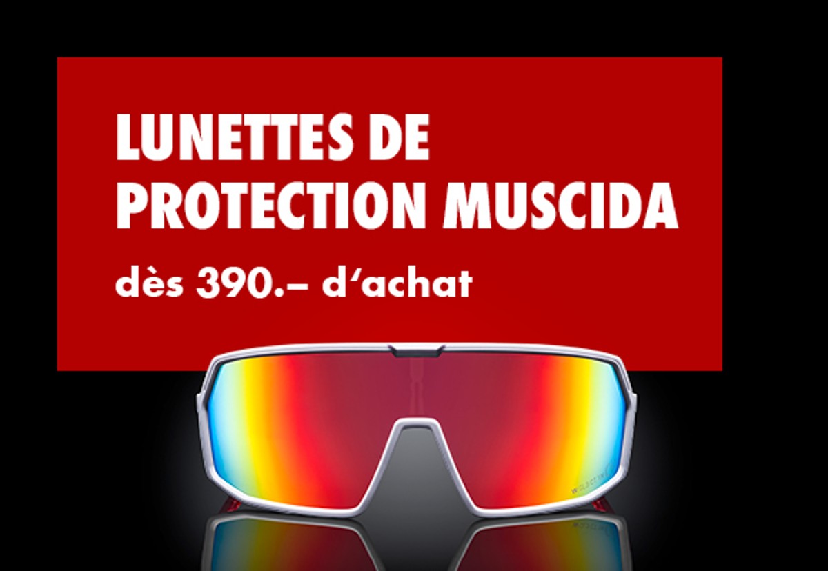 Muscida