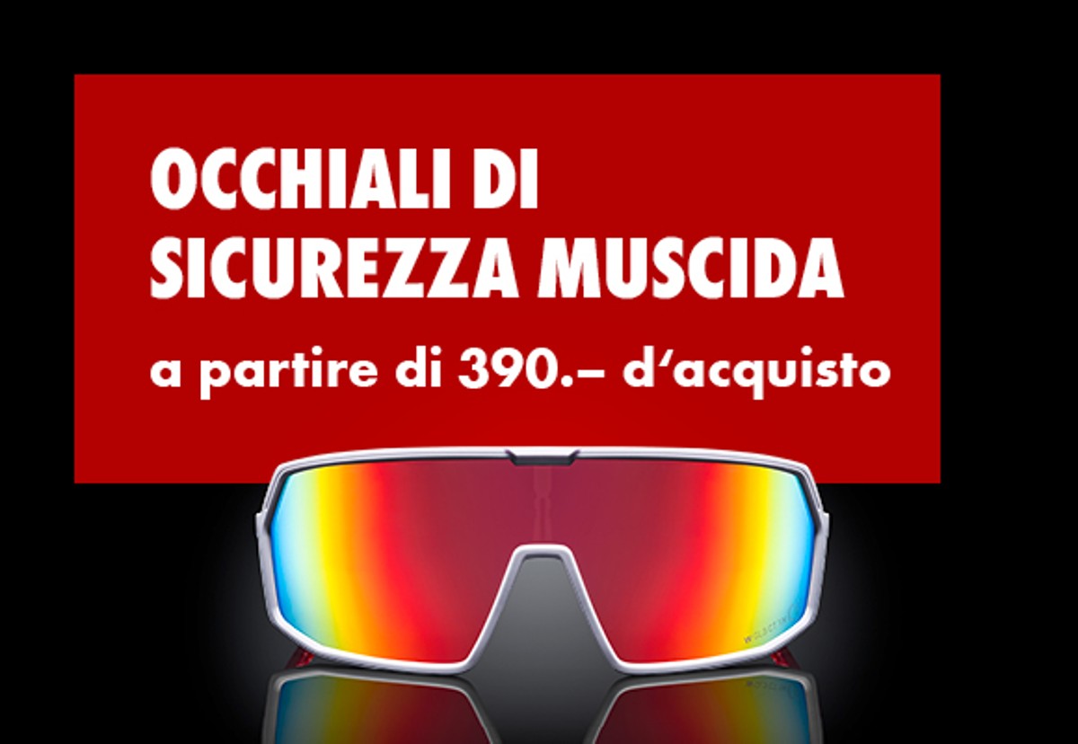 Muscida