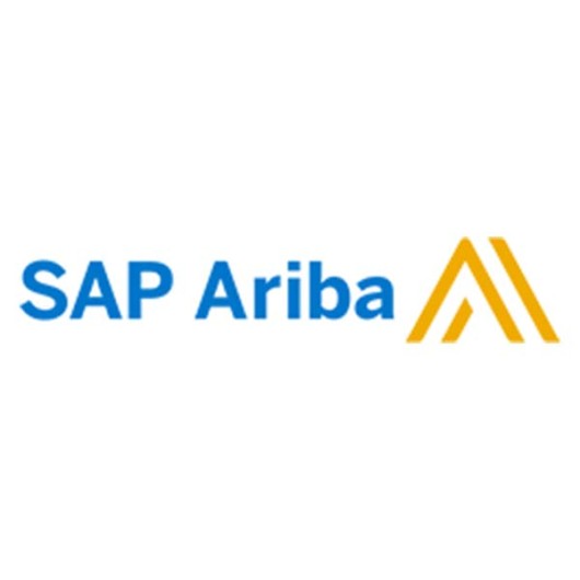  SAP Ariba