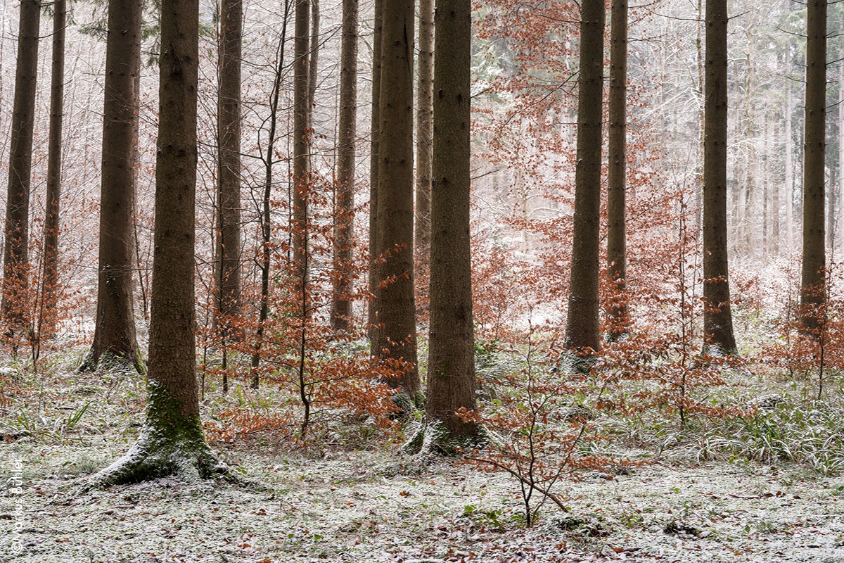 Kunst und Kultur zwischen Dezember und März