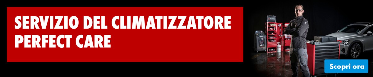 Servizio del Climatizzatore