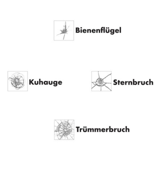 Steinschläge – wann muss gehandelt werden?